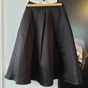 Black A Line/Full Pleated Skirt
